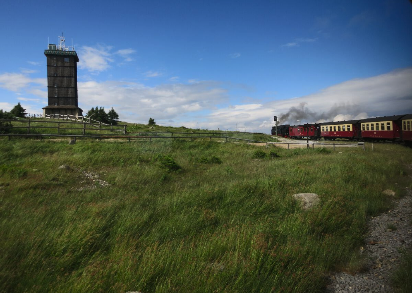 Naturbild mit Dampflok